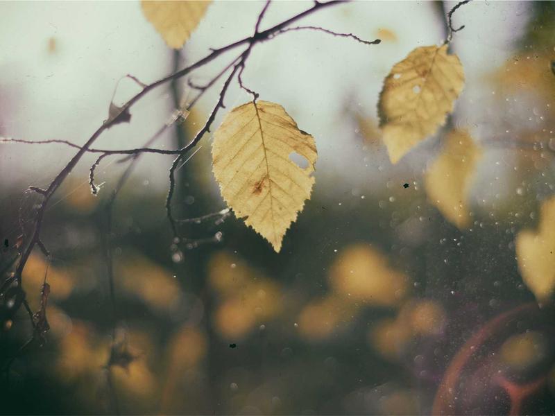 객실 다이닝 서비스